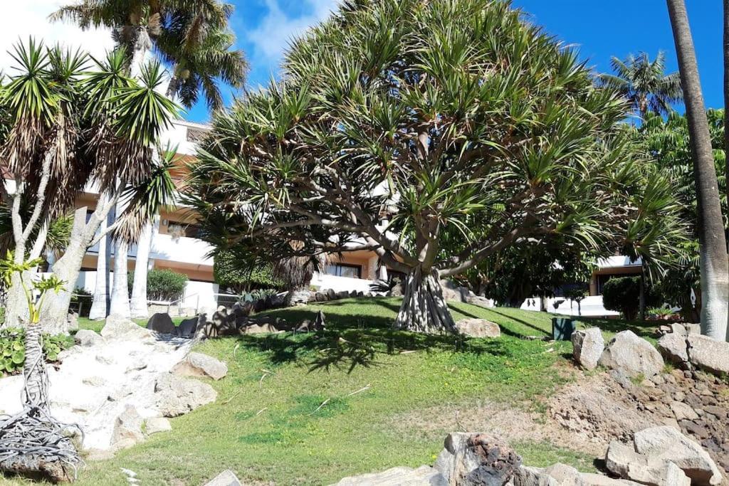 Apartment With Pool And Gardens Near The Coast سان ميغيل ذي أبونا المظهر الخارجي الصورة
