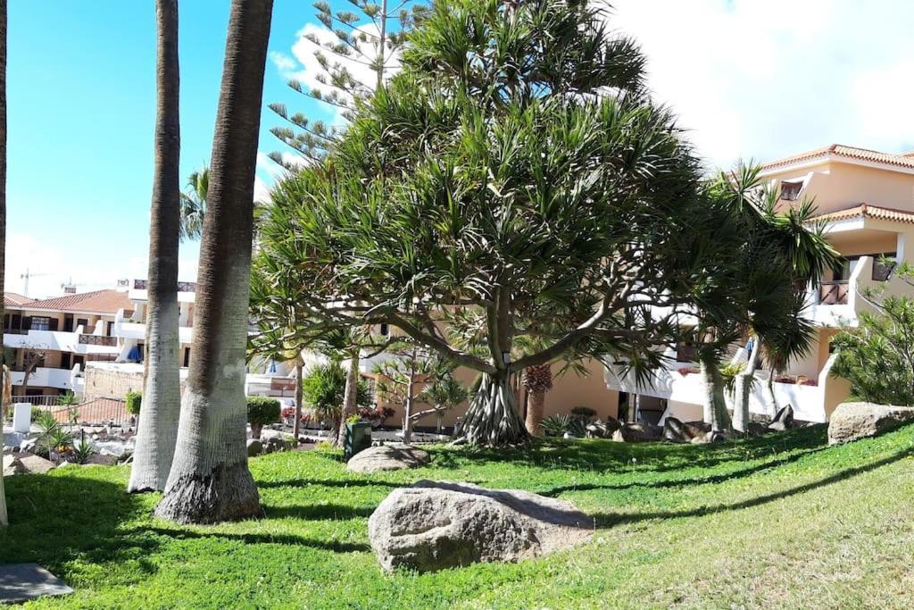 Apartment With Pool And Gardens Near The Coast سان ميغيل ذي أبونا المظهر الخارجي الصورة